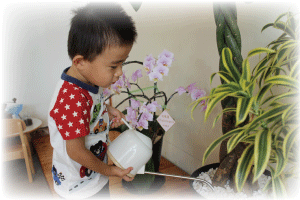 お仕事_花の水やり